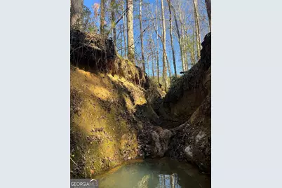 57.4 Acres County Line Church Road, Warm Springs, GA 31830 - Photo 18