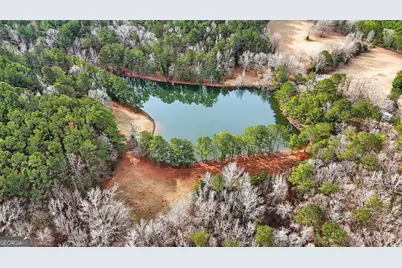 57.4 Acres County Line Church Road, Warm Springs, GA 31830 - Photo 26