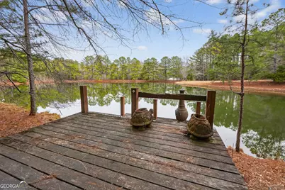 57.4 Acres County Line Church Road, Warm Springs, GA 31830 - Photo 8
