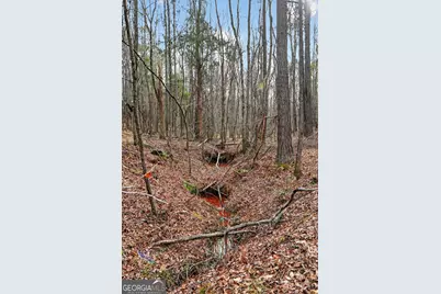 57.4 Acres County Line Church Road, Warm Springs, GA 31830 - Photo 20