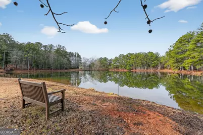 57.4 Acres County Line Church Road, Warm Springs, GA 31830 - Photo 6