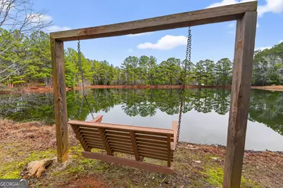 57.4 Acres County Line Church Road, Warm Springs, GA 31830 - Photo 10
