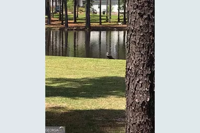 136 Alexander Farms Road E, Statesboro, GA 30458 - Photo 40