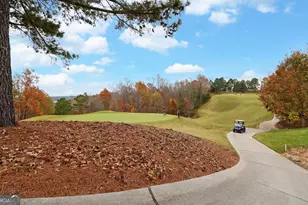 29 Cottage Ln, Toccoa, GA 30577 - Photo 46