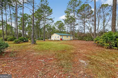 1473 Chesser Lane, Nahunta, GA 31553 - Photo 36