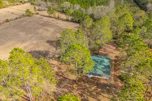 1473 Chesser Ln, Nahunta, GA 31553 - Photo 38