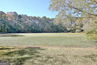 145 Holly Hill Road, Fayetteville, GA 30214 - Photo 74