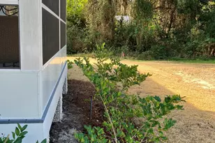 905 SE Wayne Street N St, Darien, GA 31305 - Photo 6