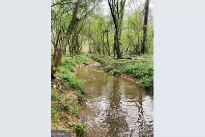 380 Wilson Road, Whitesburg, GA 30185 - Photo 12