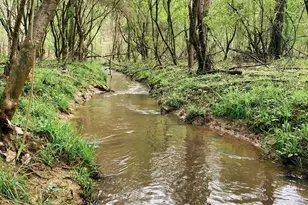 380 Wilson Rd, Whitesburg, GA 30185 - Photo 22