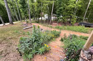 380 Wilson Rd, Whitesburg, GA 30185 - Photo 28