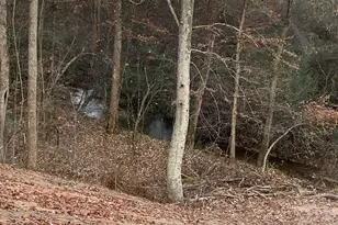 380 Wilson Rd, Whitesburg, GA 30185 - Photo 10