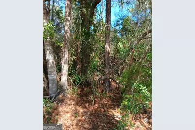 0-Lot 1 Owen Spatcher Road #LOT 1, Folkston, GA 31537 - Photo 12