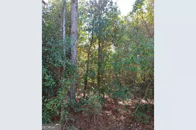0-Lot 1 Owen Spatcher Road #LOT 1, Folkston, GA 31537 - Photo 8