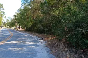0 Owen-Spatcher Rd Lot 1, Folkston, GA 31537 - Photo 1