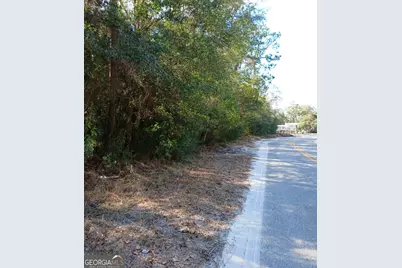 0-Lot 1 Owen Spatcher Road #LOT 1, Folkston, GA 31537 - Photo 2