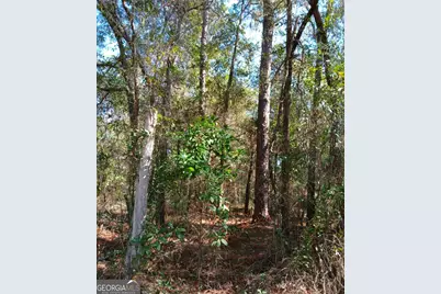 0-Lot 2 Owen Spatcher Road, Folkston, GA 31537 - Photo 14