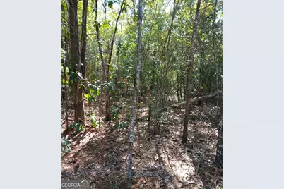 0-Lot 2 Owen Spatcher Road, Folkston, GA 31537 - Photo 8