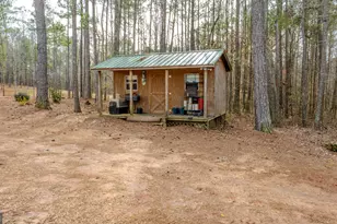 2376 Smokey Rd, Newnan, GA 30263 - Photo 46