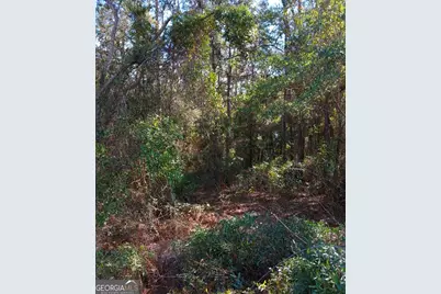 0-Lot 4 Kelly Road, Folkston, GA 31537 - Photo 8