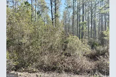 18 Satilla Plantation, Waynesville, GA 31566 - Photo 4