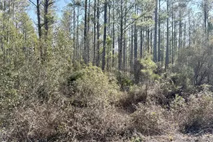 18 Satilla Plantation, Waynesville, GA 31566 - Photo 1