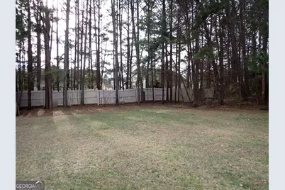 10617 Barberry Drive, Hampton, GA 30228 - Photo 2