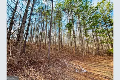 1241 Pembrook Drive, Watkinsville, GA 30677 - Photo 2