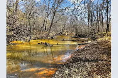 261 McIntosh Circle, Jackson, GA 30233 - Photo 78