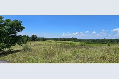 361 Allen Road, Musella, GA 31066 - Photo 16