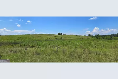 361 Allen Road, Musella, GA 31066 - Photo 2