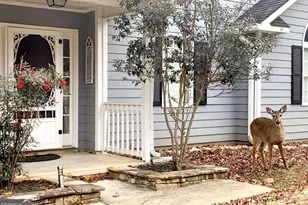 111 Seneca Way, Ellijay, GA 30540 - Photo 8