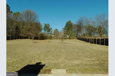 907 Downing Drive, Bethlehem, GA 30620 - Photo 8