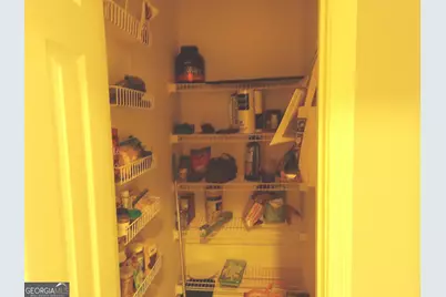 907 Downing Drive, Bethlehem, GA 30620 - Photo 20