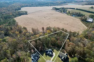 196 Magnolia Trce, Milner, GA 30257 - Photo 6