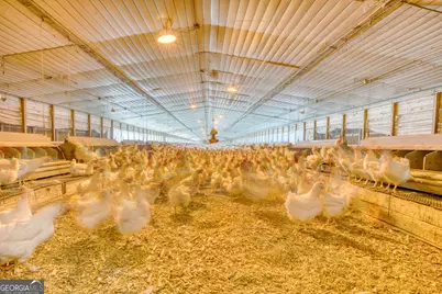 441 Weaver Road, Moultrie, GA 31768 - Photo 64