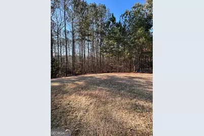 3863 Dragon Fly Lane, Loganville, GA 30052 - Photo 12