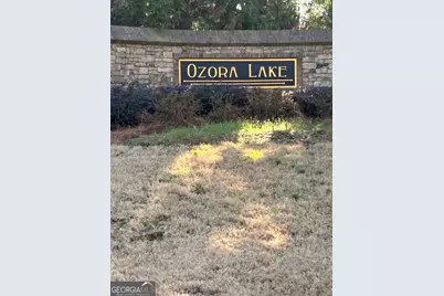 3863 Dragon Fly Lane, Loganville, GA 30052 - Photo 44