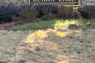 3863 Dragon Fly Ln, Loganville, GA 30052 - Photo 44