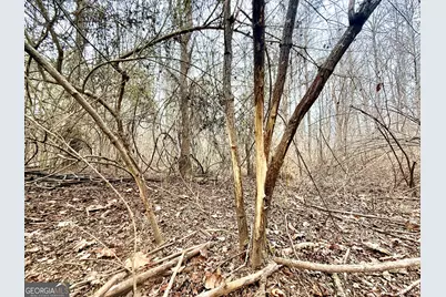 14 Turning Point Way, Elberton, GA 30635 - Photo 46