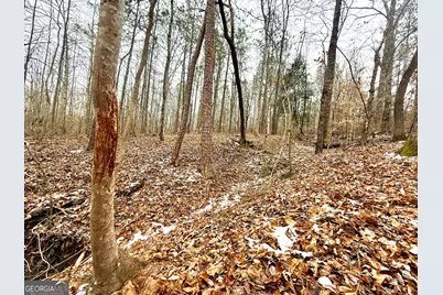 14 Turning Point Way, Elberton, GA 30635 - Photo 10