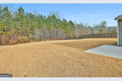 435 Park Haven Lane, Tyrone, GA 30290 - Photo 52