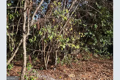 1513 Pickard Avenue, Tifton, GA 31794 - Photo 40