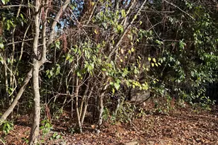 1513 Pickard Ave, Tifton, GA 31794 - Photo 40