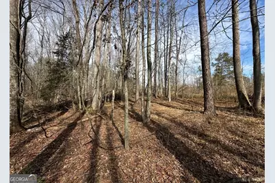 18 Turning Point Way, Elberton, GA 30635 - Photo 52