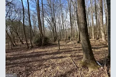 18 Turning Point Way, Elberton, GA 30635 - Photo 60