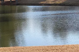 172 Sonata Cir, Pooler, GA 31322 - Photo 42