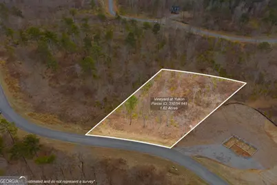 Lot 141 Twisted Oak Road, Talking Rock, GA 30175 - Photo 2
