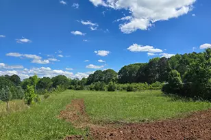 2037 Jeff Davis Rd, Thomaston, GA 30286 - Photo 52