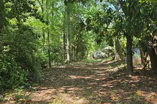 2037 Jeff Davis Rd, Thomaston, GA 30286 - Photo 54